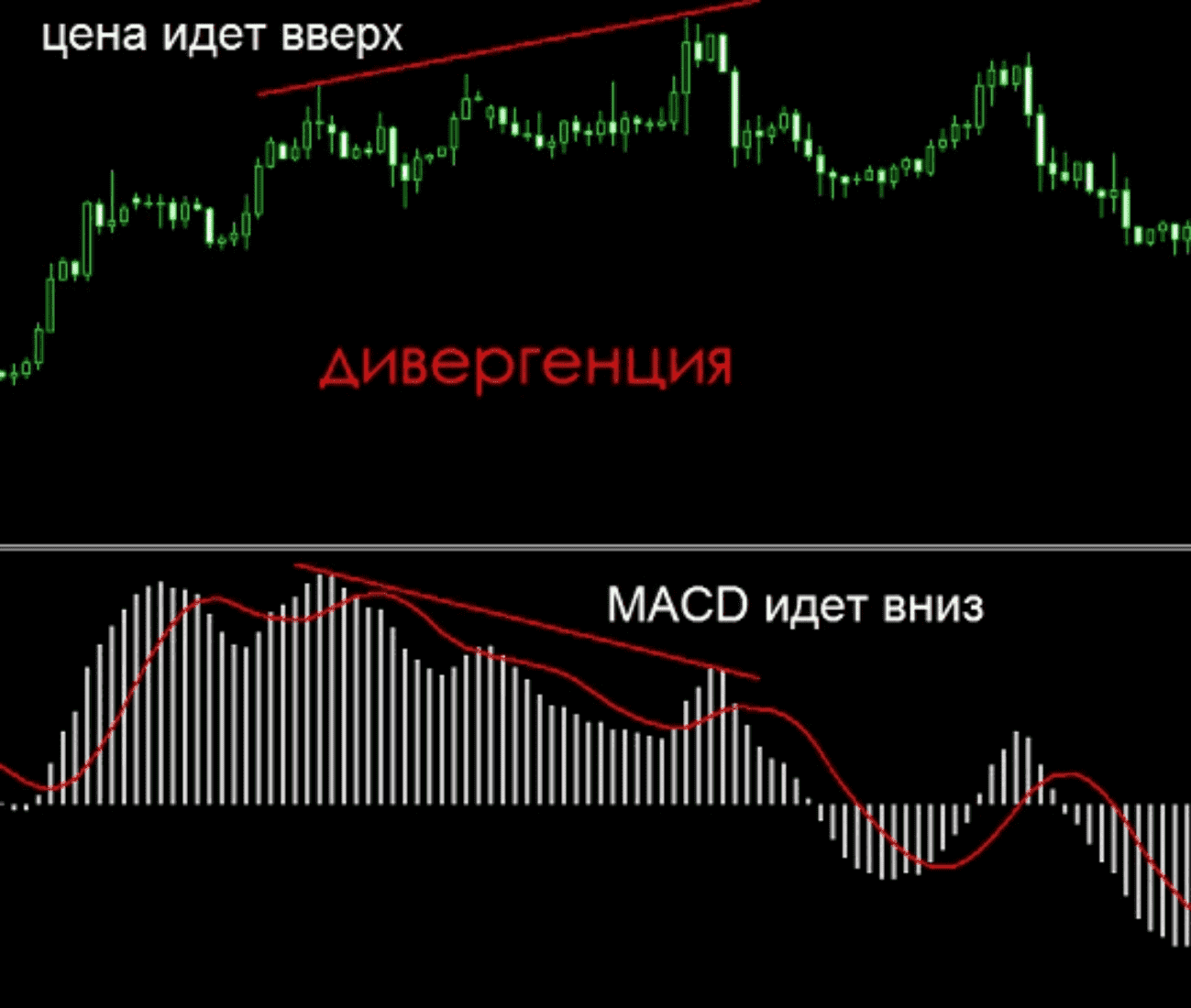Что такое дивергенция, и как дивергенцию применять на Форекс