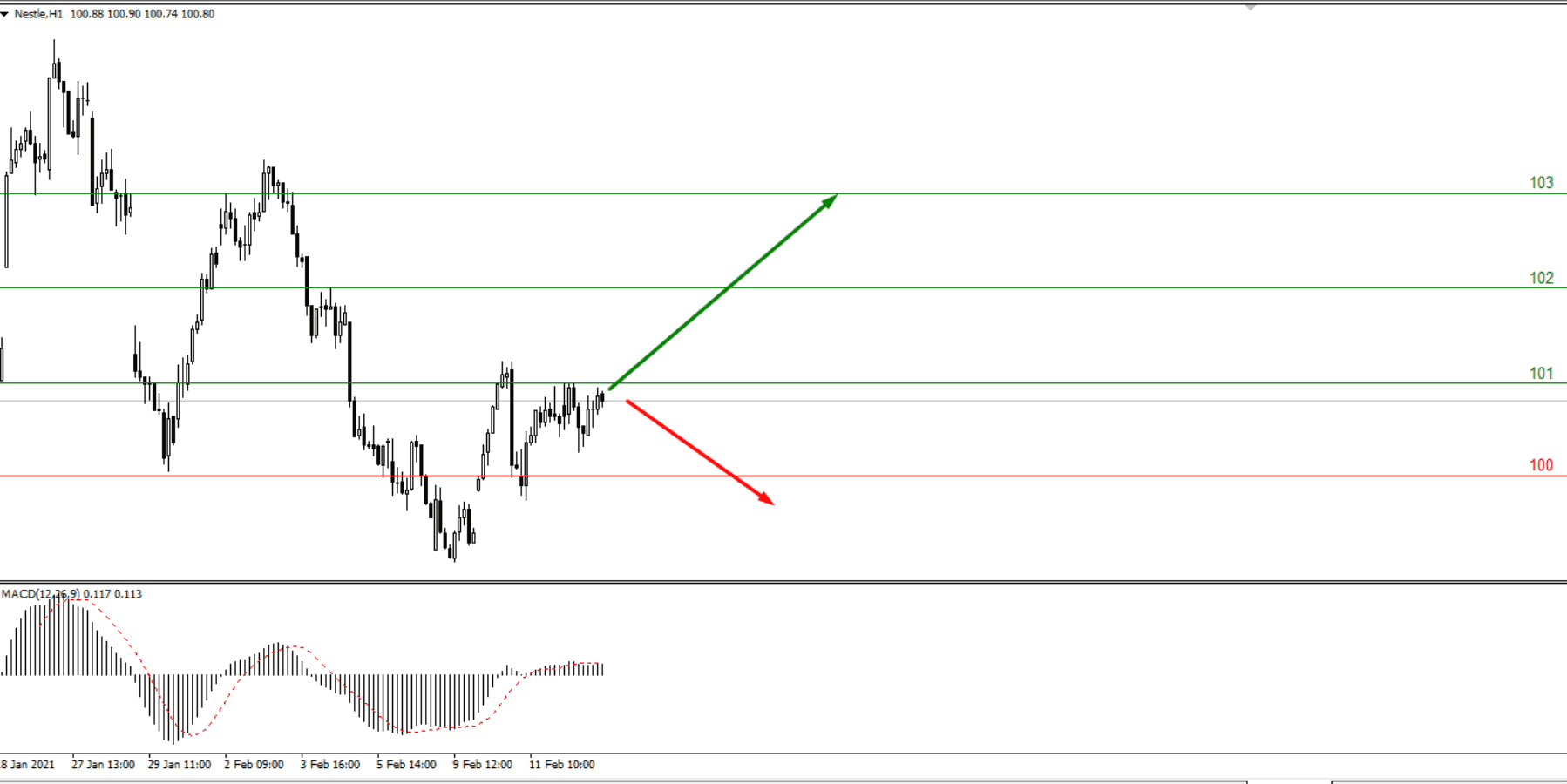 Отчет корпораций Walmart и Nestle