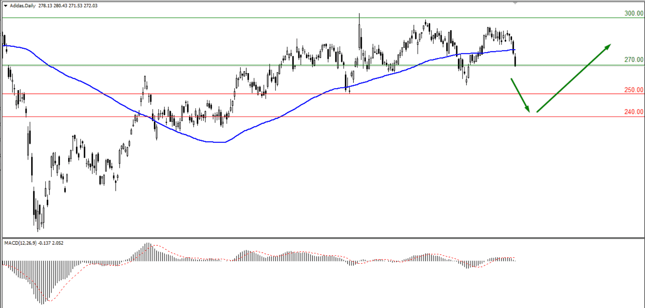Обзор компаний Adidas и Deutsche Post