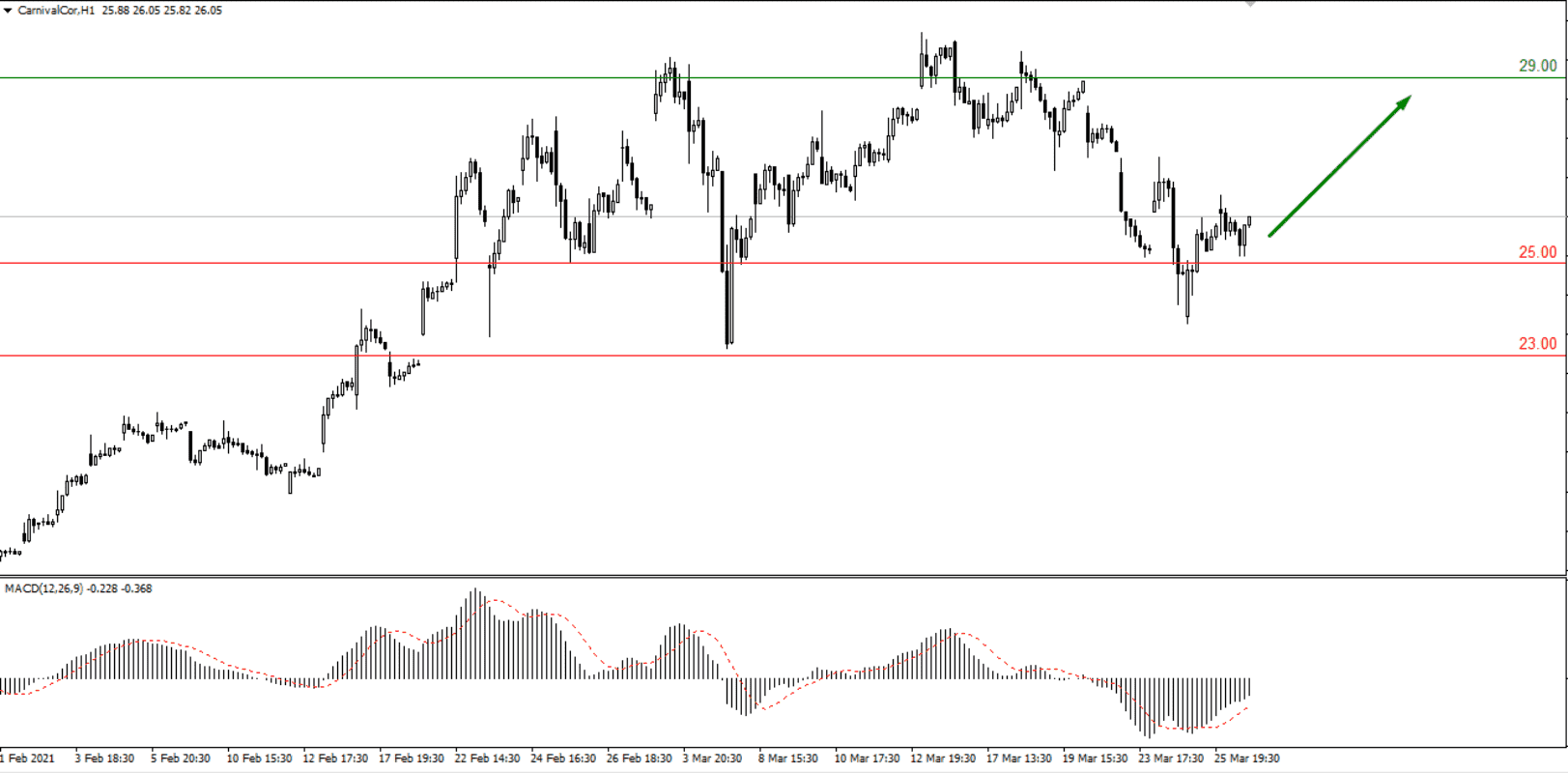 Анализ деятельности BioNTech и Carnival Corporation